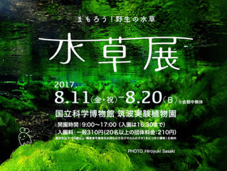 水草展2017~まもろう!野生の水草~