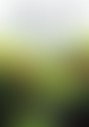 タナカカツキさんが見据える、水草レイアウトの未来と可能性「月刊アクアライフ 2026年01月号」