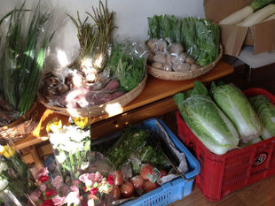 西宮産の冬野菜
