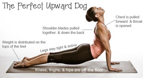 February yoga pose - Upward facing Dog - Urdha Mukha Svanasana February yoga pose - Upward facing Dog - Urdha Mukha Svanasana