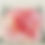 Thumbnail: "Dahlia" © Lucite Tray