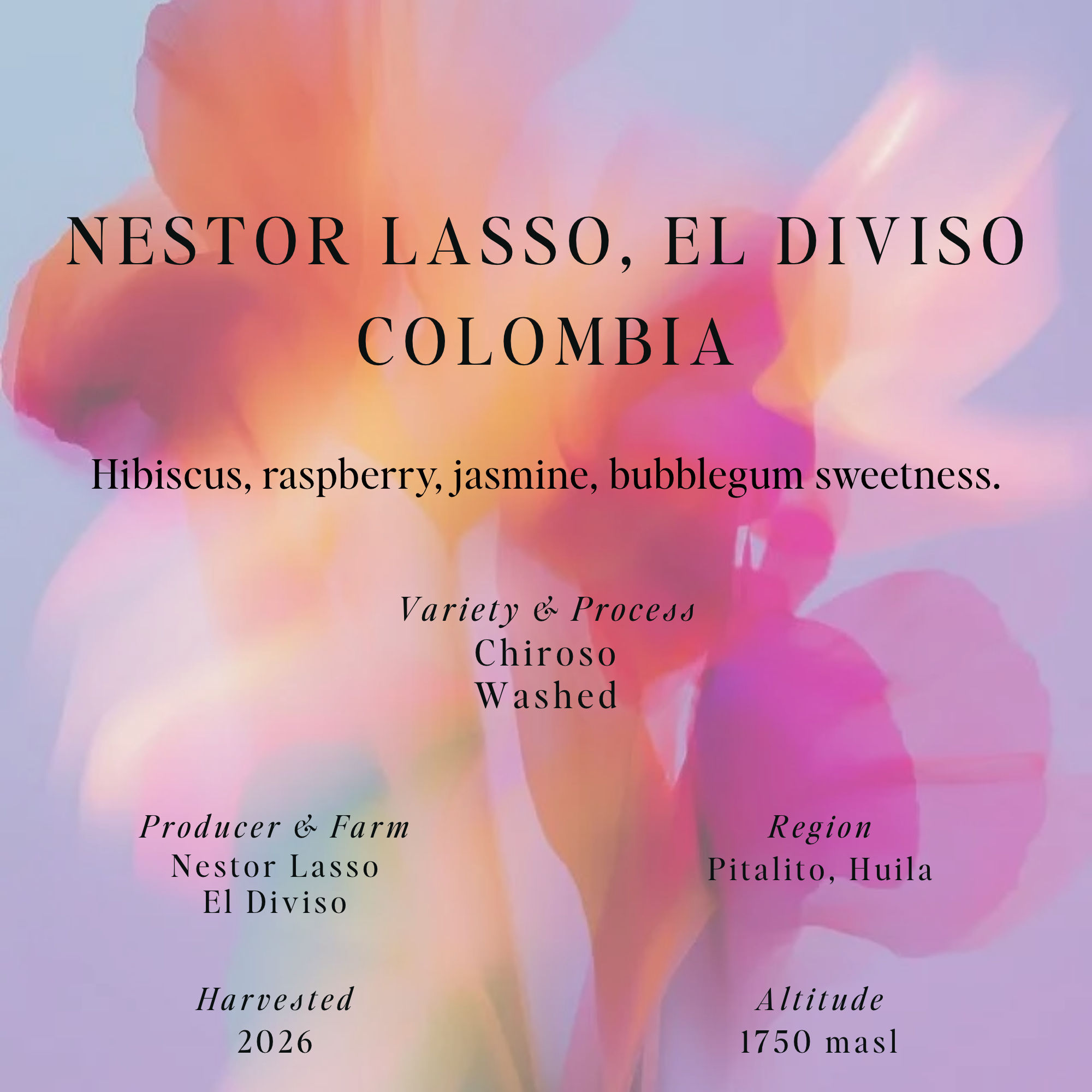Nestor Lasso, Colombia, Chiroso, Washed
