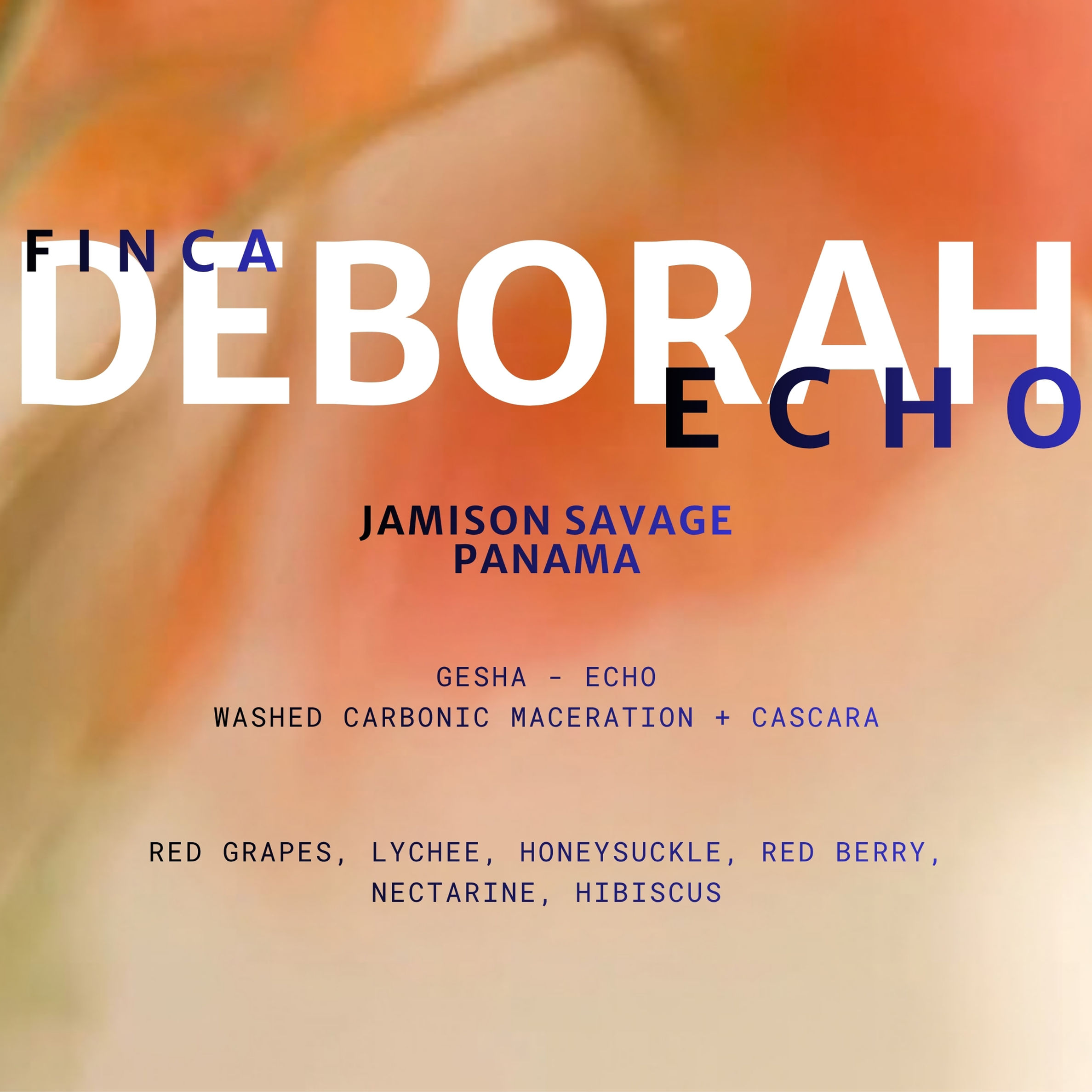 Echo, Finca Deborah, Panama