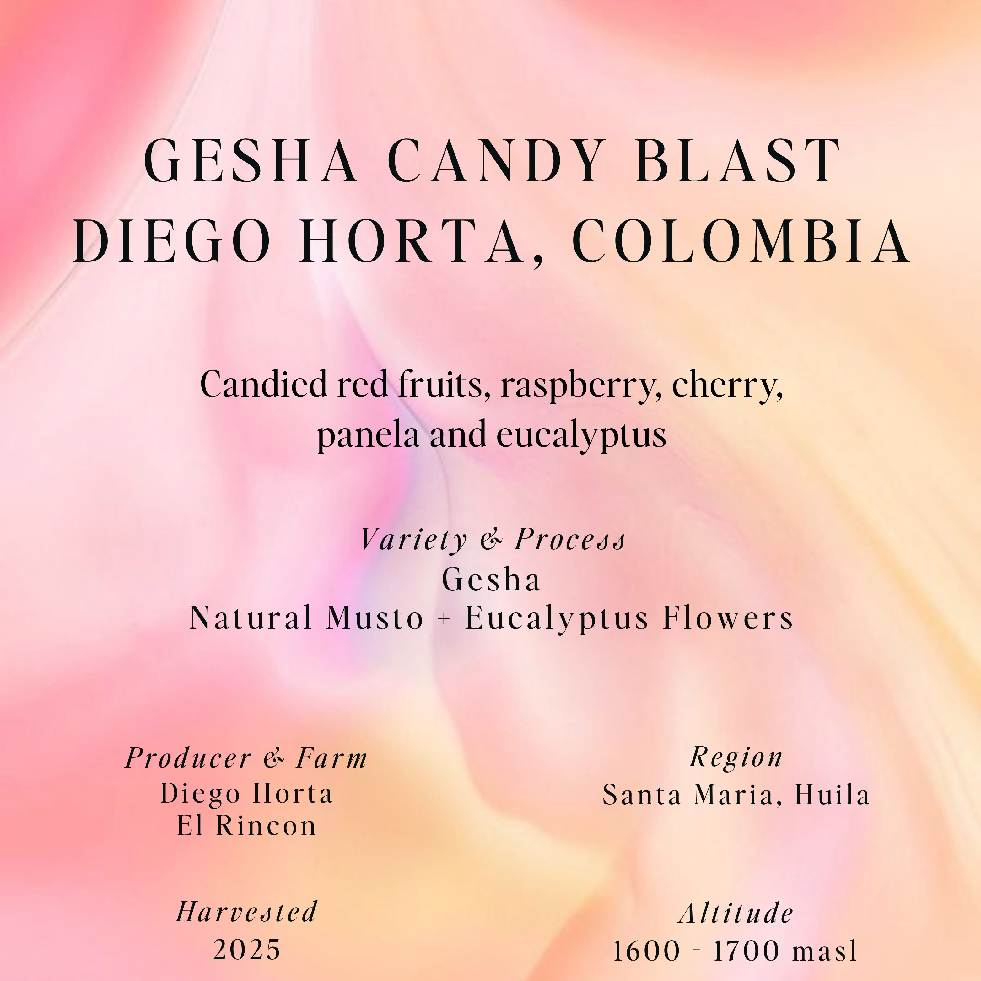 Gesha Candy Blast, Diego Horta, Colombia