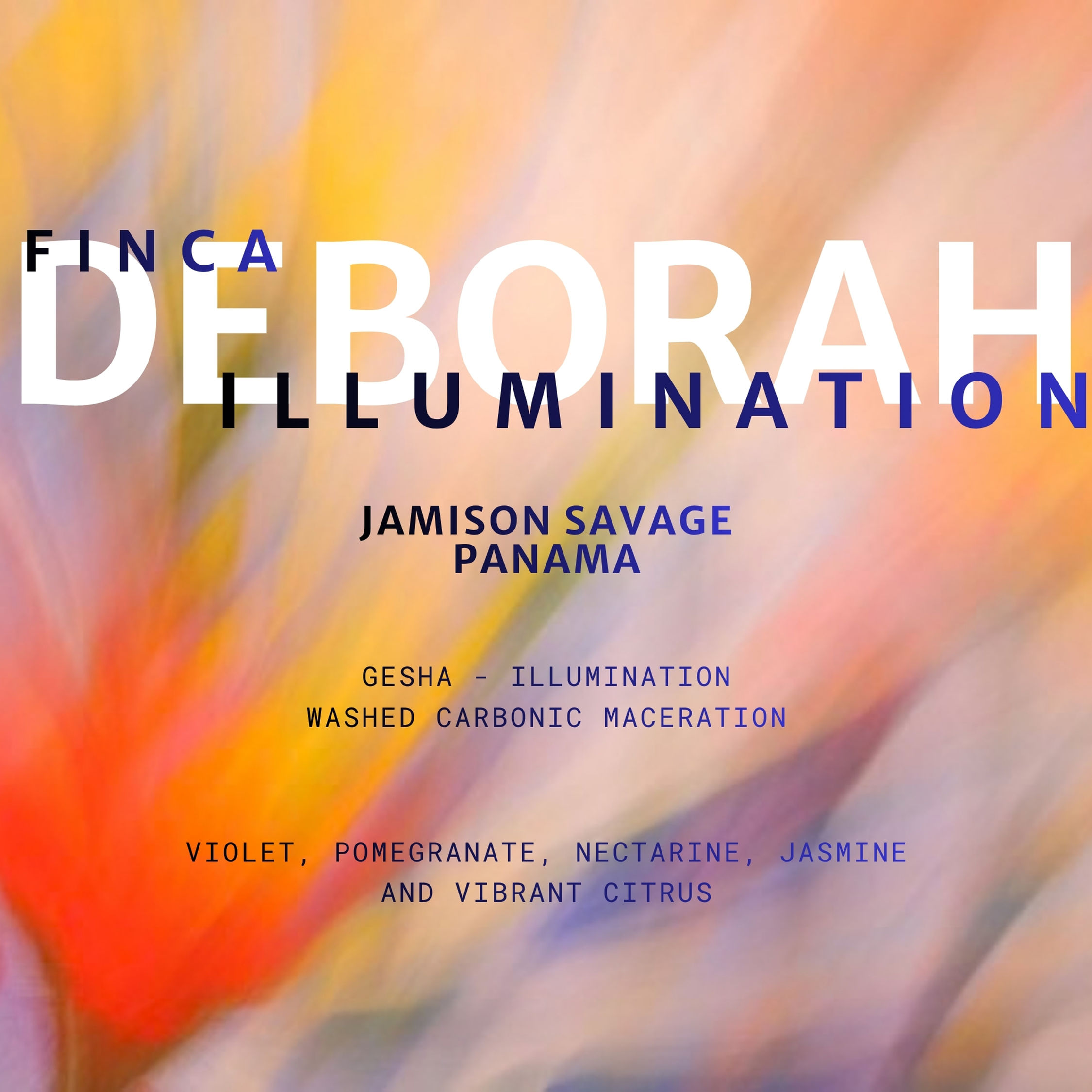 Illumination, Finca Deborah, Panama