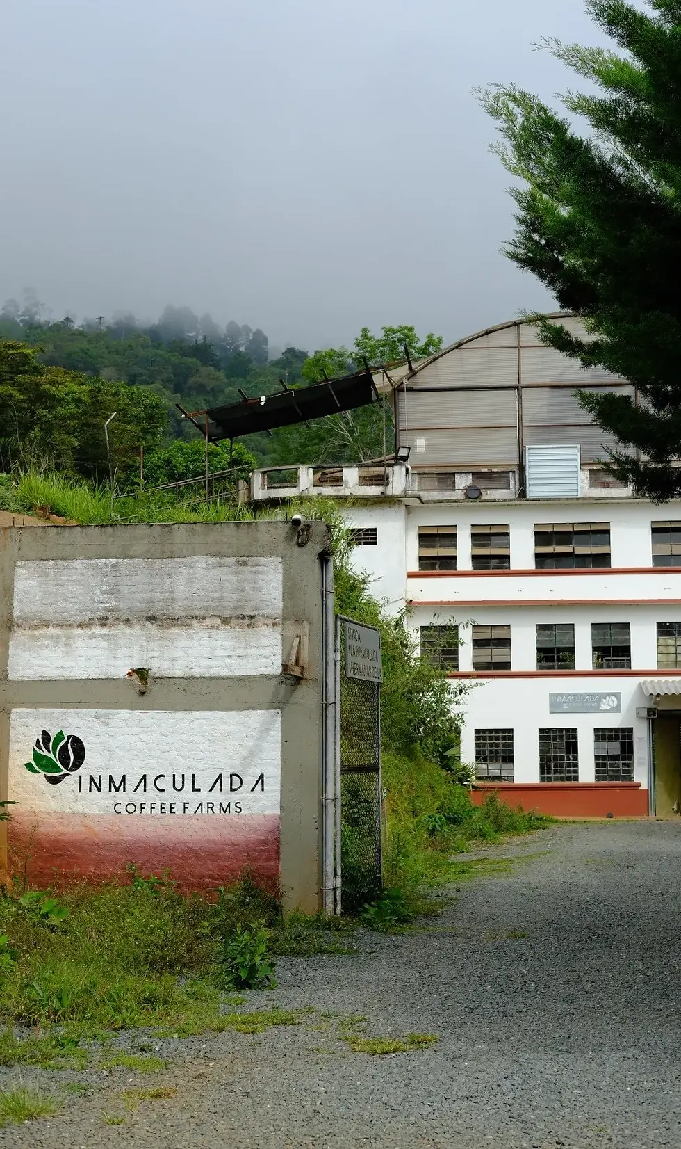 Thumbnail: Gesha Honey, Inmaculada, Colombia