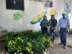 Programa-de-Arborizacion-DLTD_