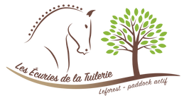 ecuries_logo.png