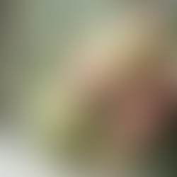 Capturing the Magic of Love: A Guide to Wedding Photography Tips