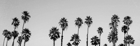 Fundo texturizado preto