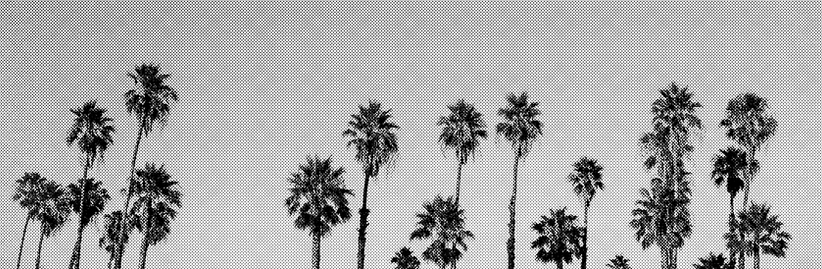 Black Textured Background