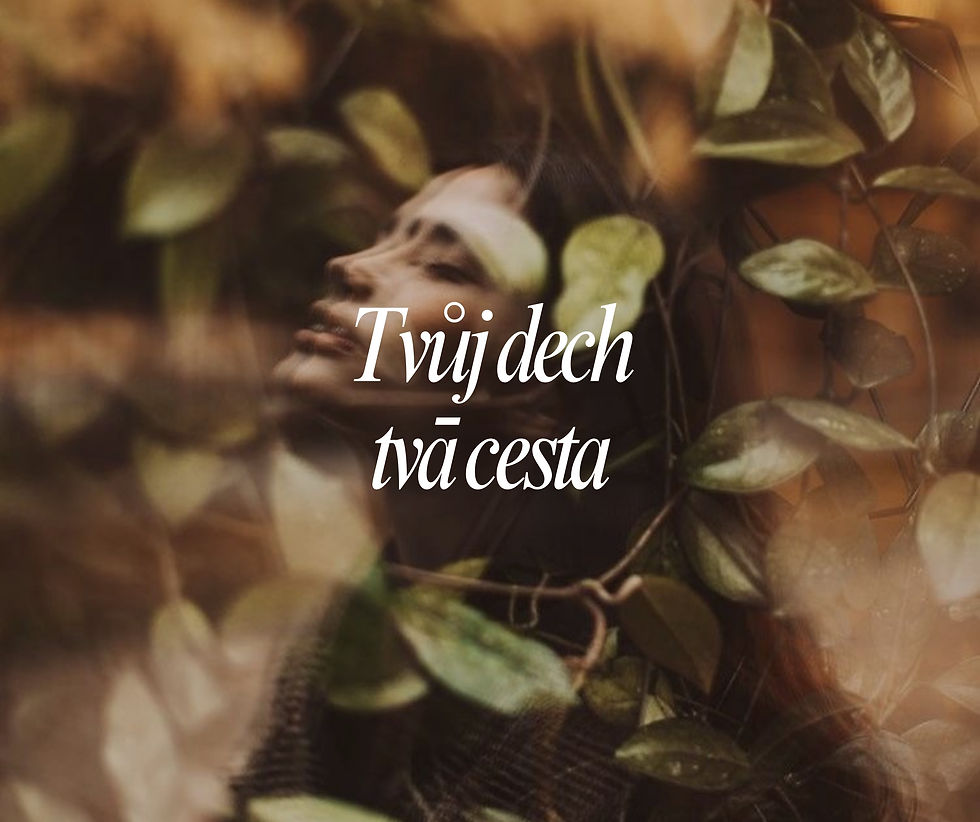 Tvůj dech, tvá cesta - 6 týdenní kurz