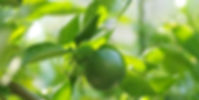 AdobeStock_119745509.jpeg