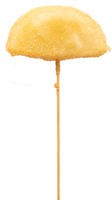 串カツ:玉ねぎ:甘み引き立つ玉ねぎ串.png