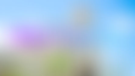 🟢Abejorral Antioquia