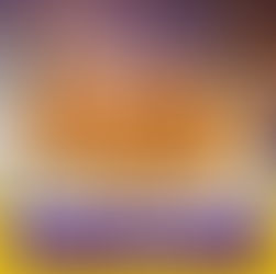 🟡Pollo asado y broaster