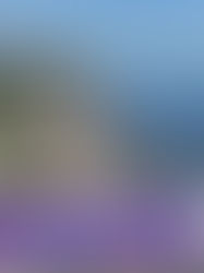 ⛱ ¿Qué hacer este fin de semana?