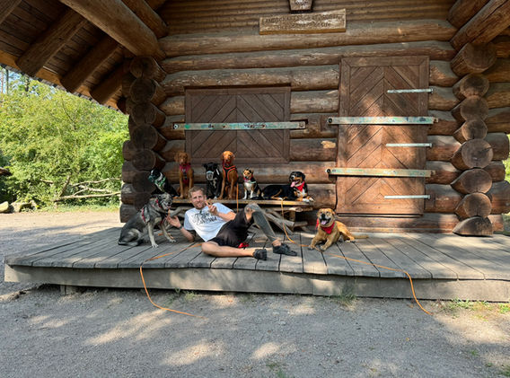 Junge mit acht Hunden vor Blockhütte