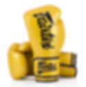 כפפות איגרוף Fairtex BGV18 Gold מיקרופייבר