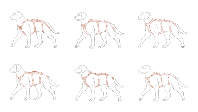 Dog harness ideation1.tif