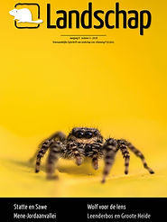 Landschap_JG08_NR04_Cover.jpg