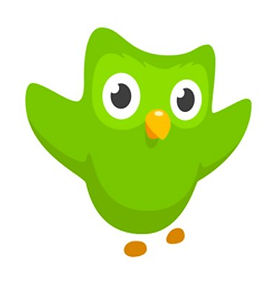 duolingo.jpeg