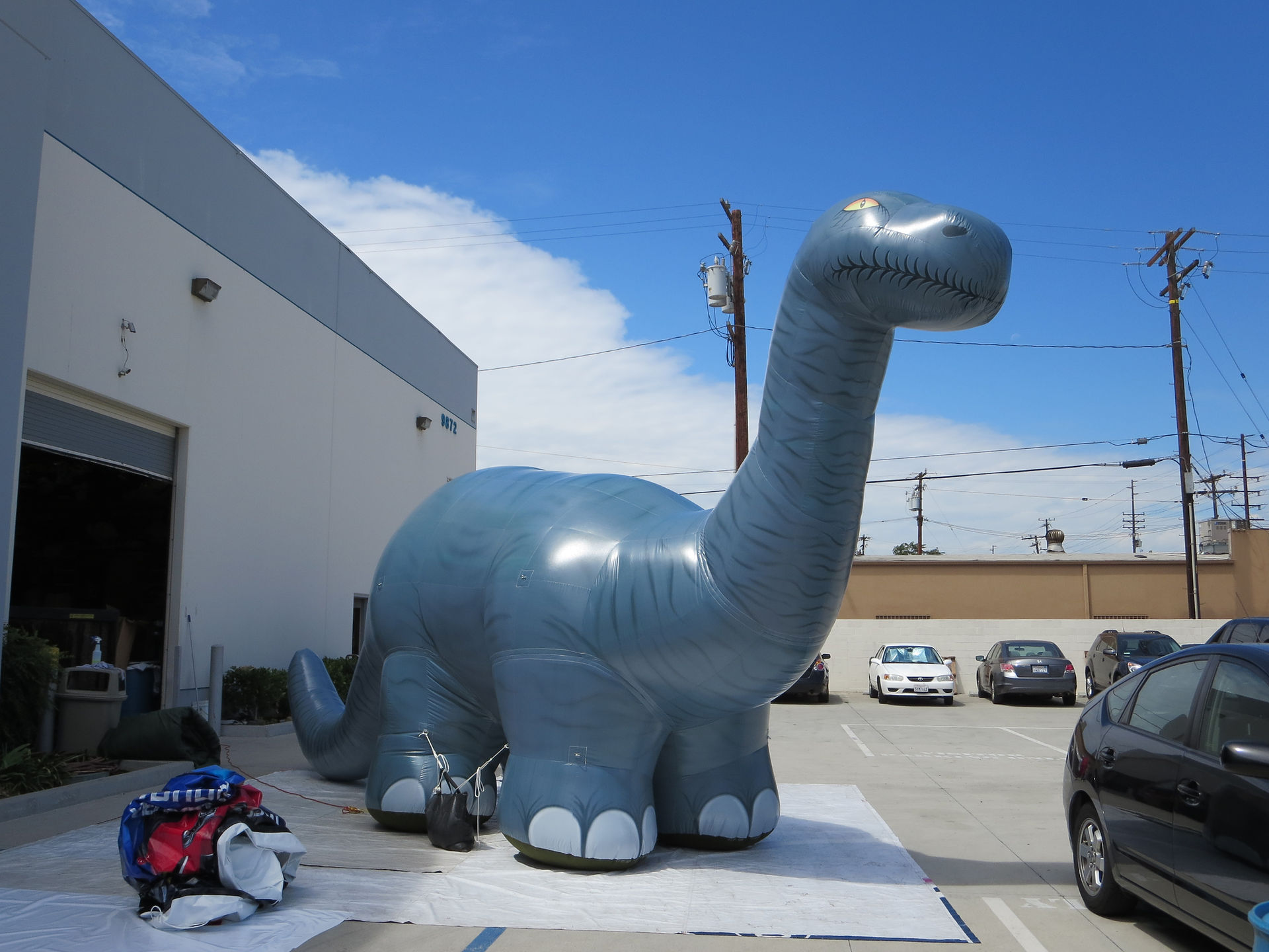 Blue Brontosaurus Replica
