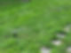 20220930_160810.jpg
