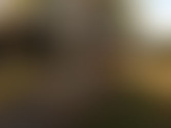 Highlights of Ketchup's Bank Glamping