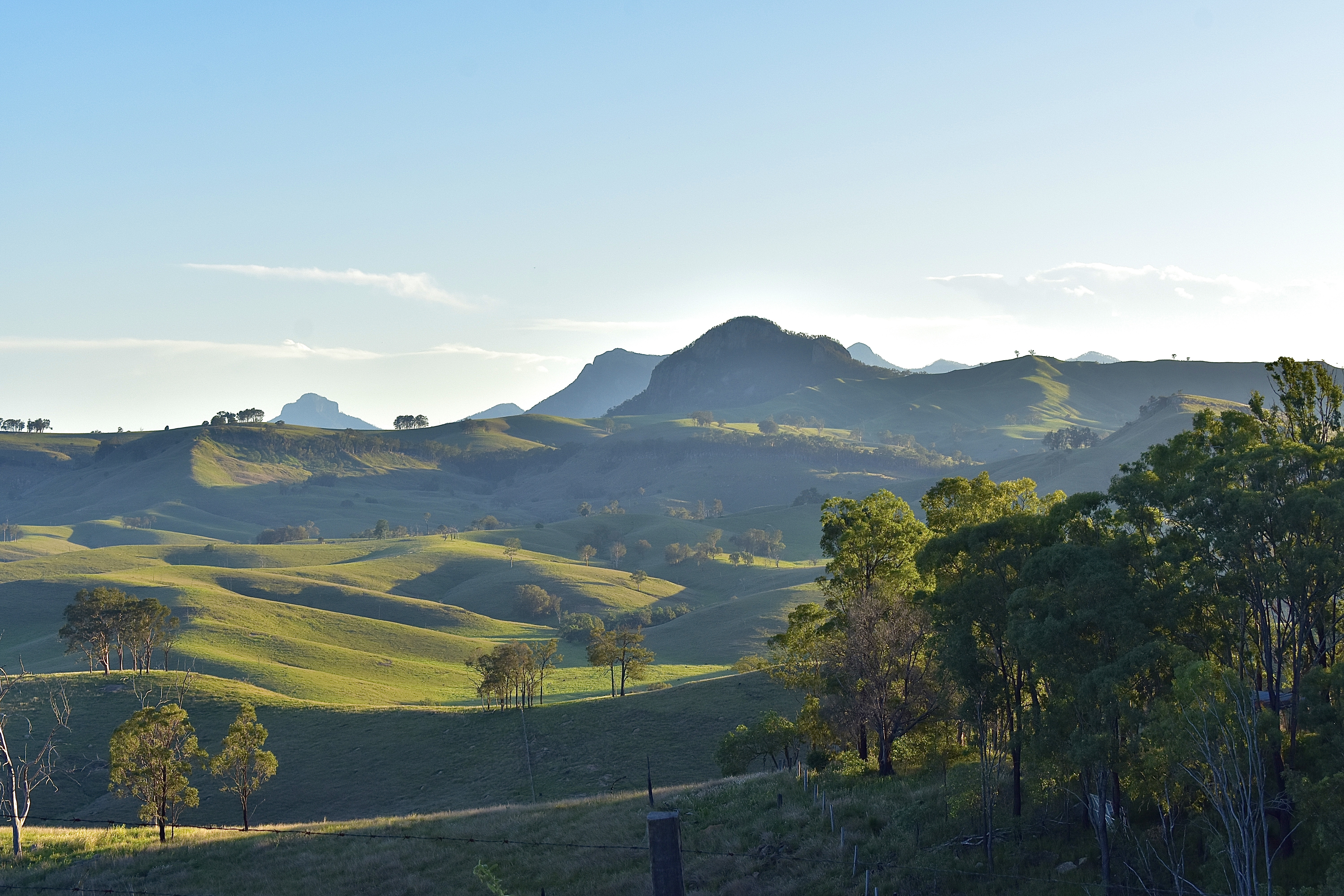Baya Tiny House Eco-Retreat - Tiny Home for Rent in Cannon Creek, QLD - photo 2