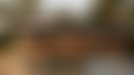 All Inclusive Resorts in Mexico Ranked by Travel Style and Personality