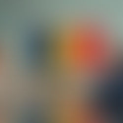 Investidor em reunião de negócios na Romênia