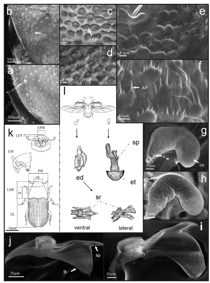 Composición y optimización de espacio