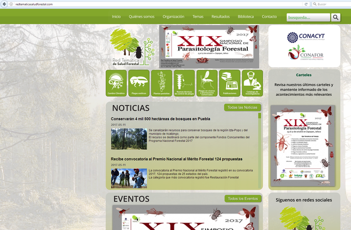 Diseño, manejo y mantenimiento de paginas Web.