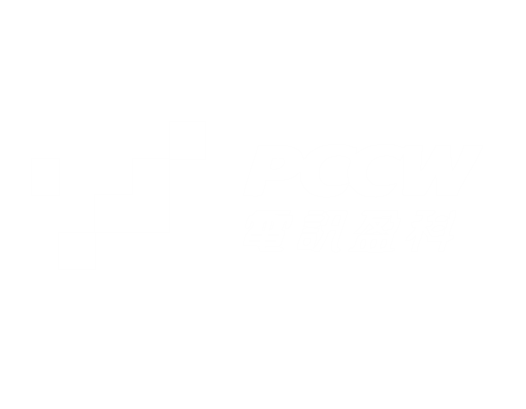 Partner 5
