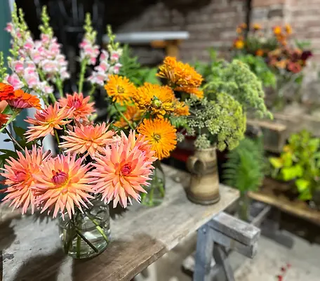 Schnittblumen, Workshops, Annas Blumenliebe, Melle