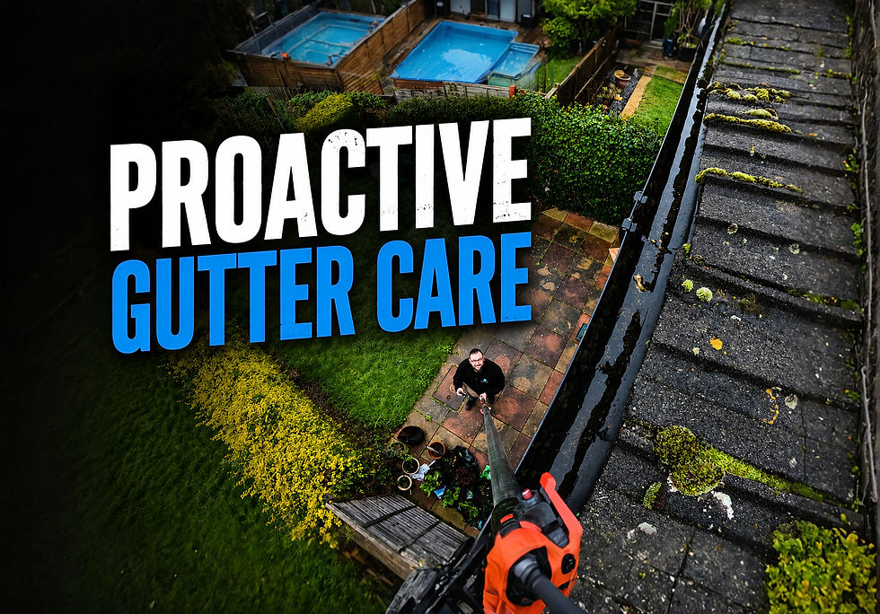 Proactive gutter clearing and maintenance on a property in Aylesbury
