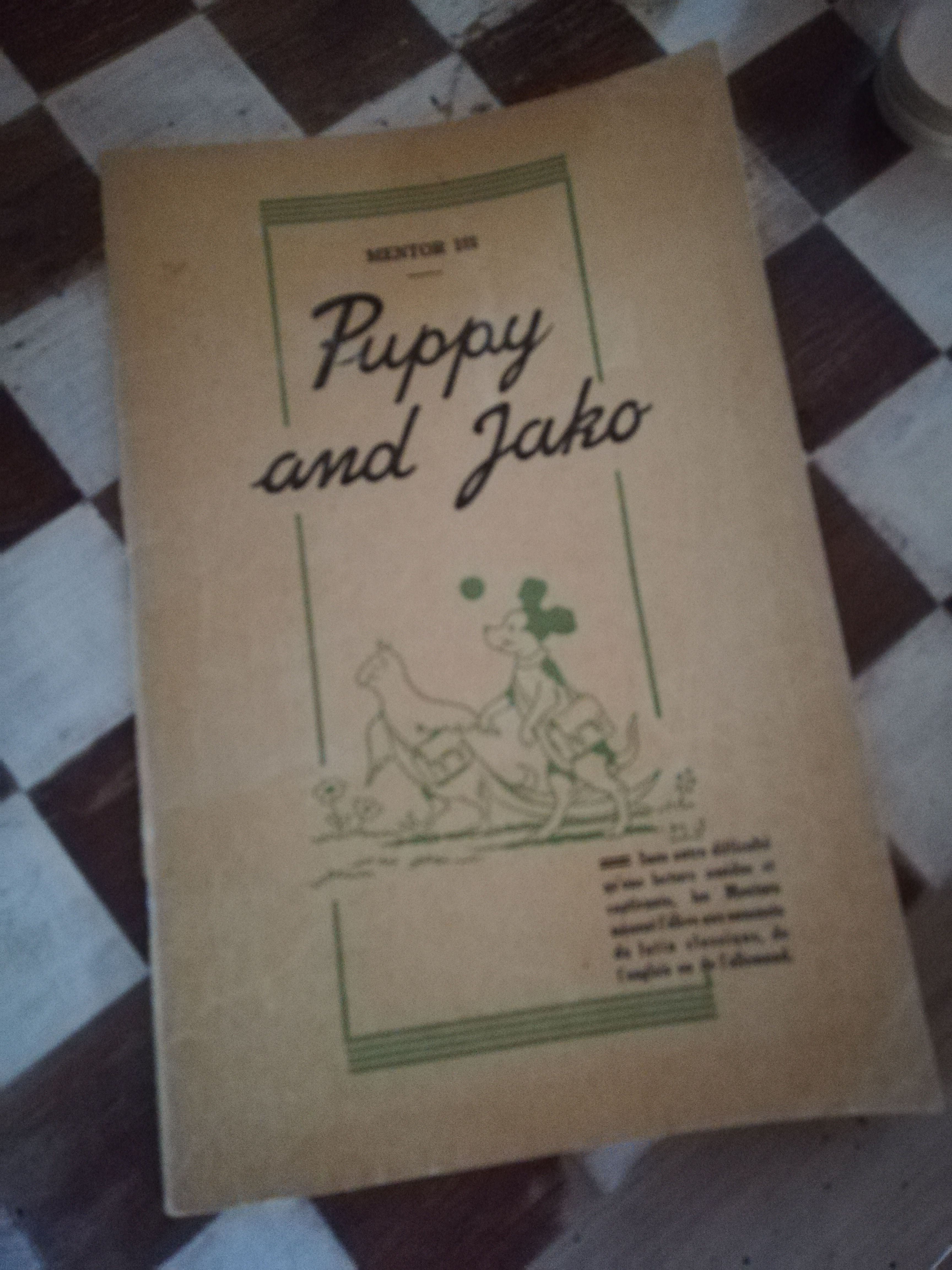 PUPPY AND JAKO premier mentor d'anglais