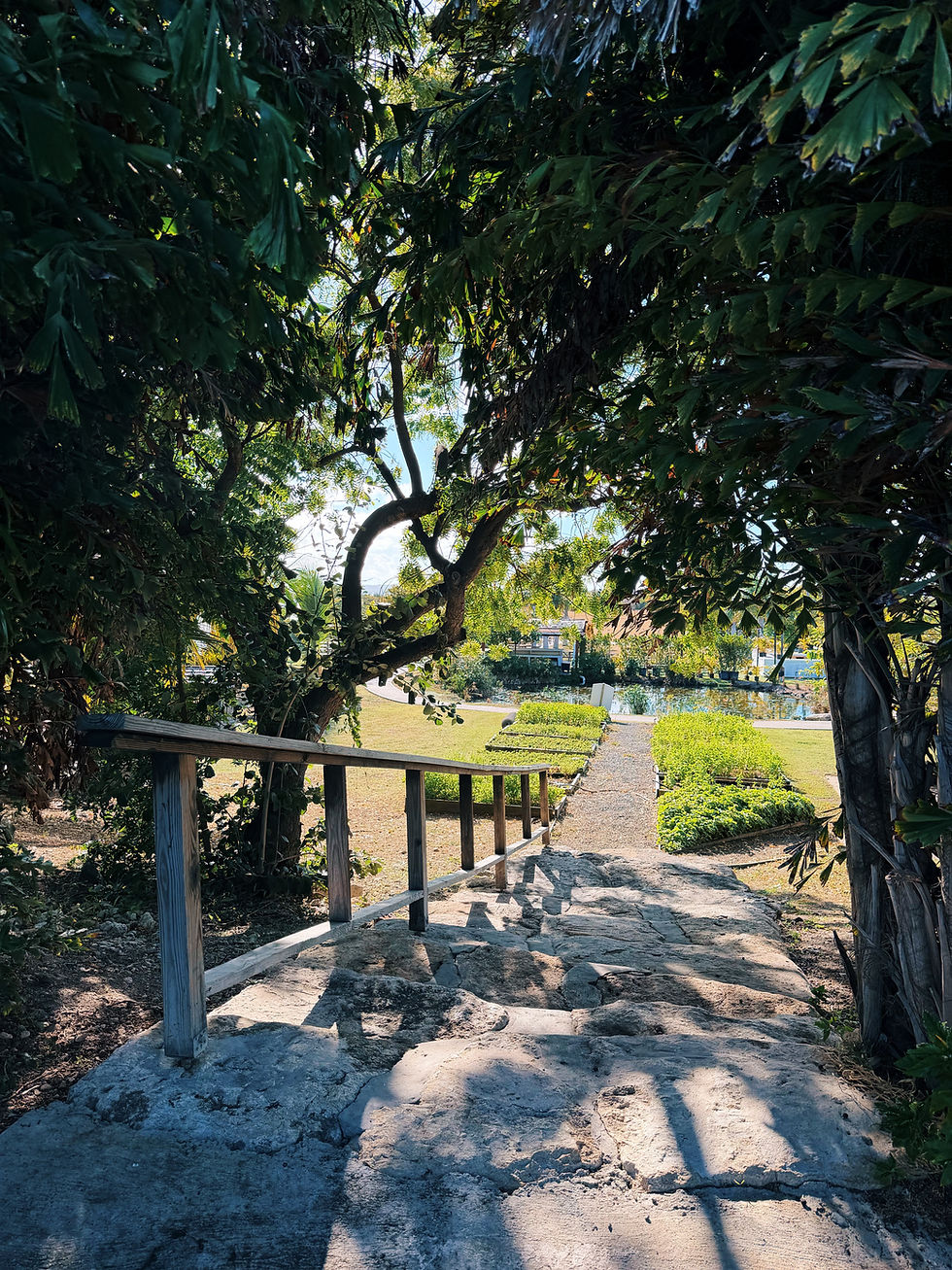 You Don’t Have to Keep Preparing for Your Life: Letting Go of Perfectionism and Self-Punishment