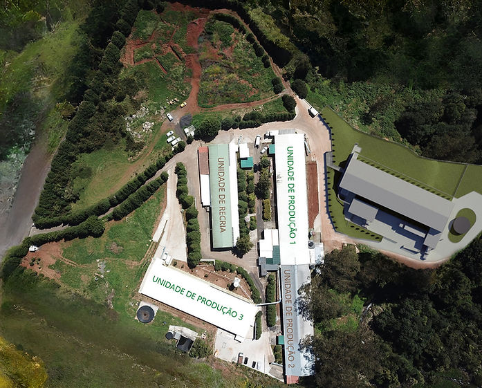 Ovo do Santo new project.jpg