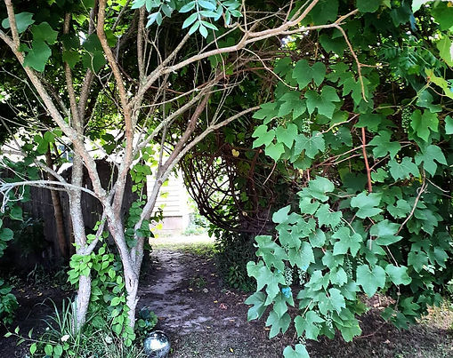 The Path Ahead