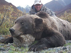 Brooks Range Grizzly Hunt