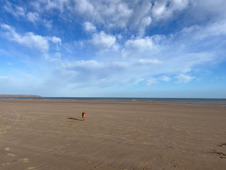 Top Dog Friendly Beaches to Explore around Filey.