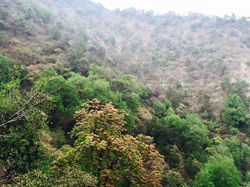 Kipling-4.jpg
