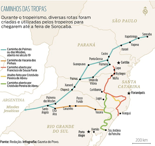 VIAMAO.png