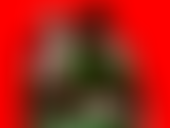 "O papel crucial das mulheres na luta anticolonial em África"