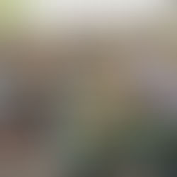 Retiro Espiritual para los delegados de la Pastoral de la Comunicación - Zona 1