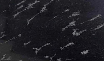 fish-black-1_edited.jpg