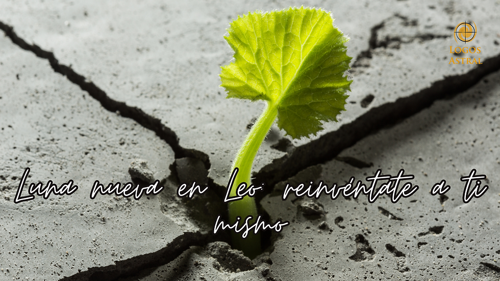 ree