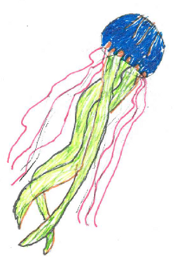 Jellyfish